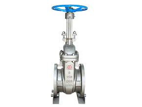 ANSI Gate Valve 